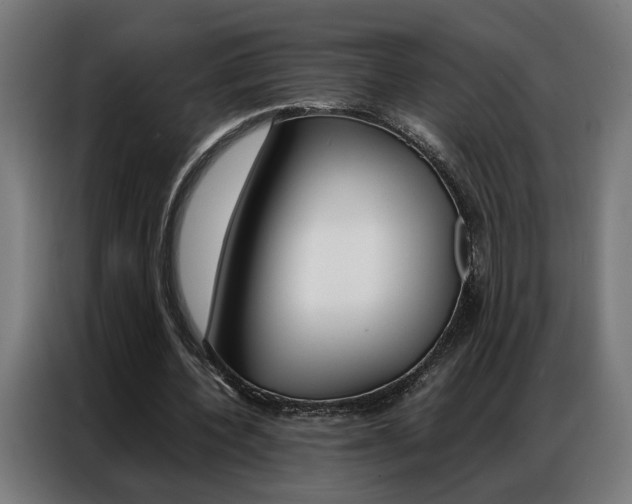 X0000086970532200704161148