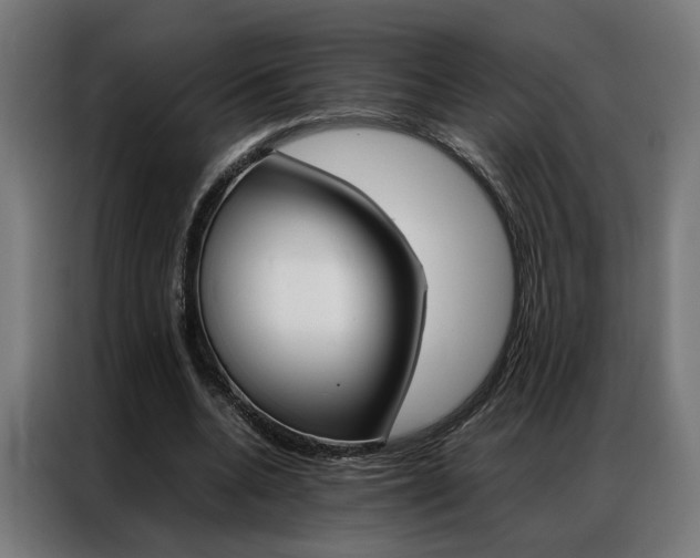 X0000086970536200704161148