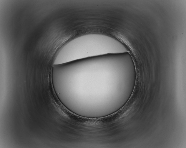 X0000086970537200704161148