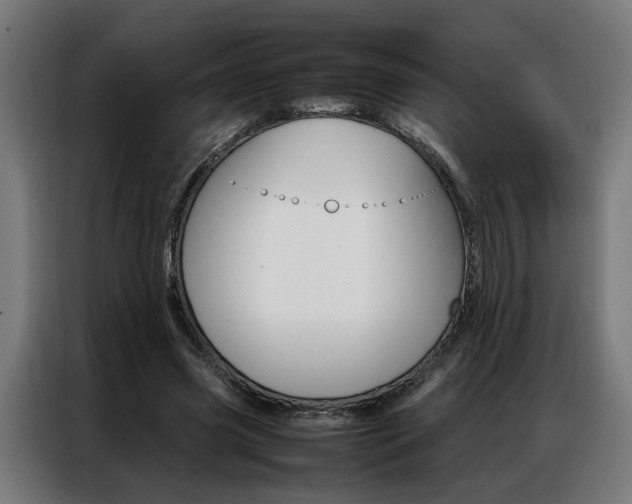 X0000086970541200704161148