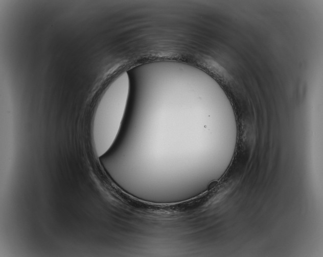 X0000086970542200704161148