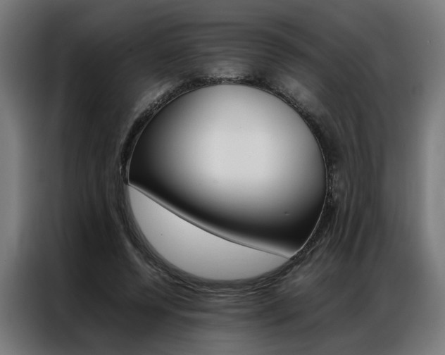 X0000086970544200704161148