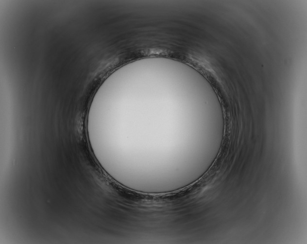 X0000086970545200704161148