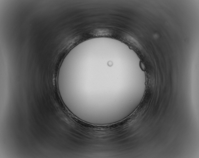 X0000086970549200704161148