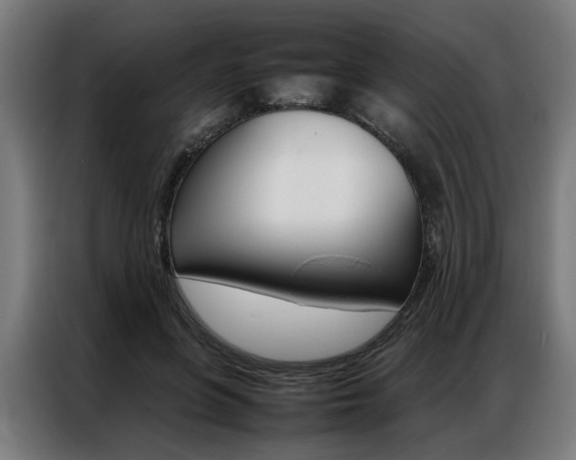 X0000086970551200704161148