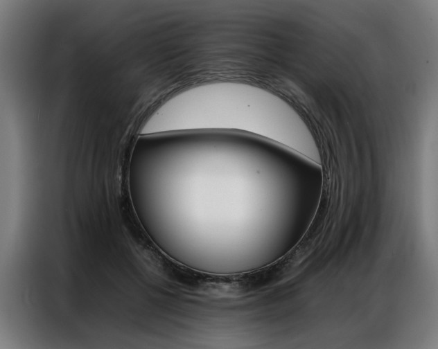 X0000086970552200704161148