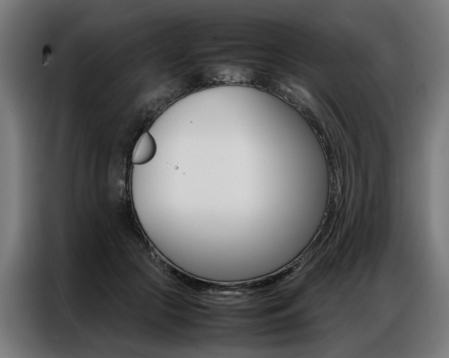 X0000086970553200704161148