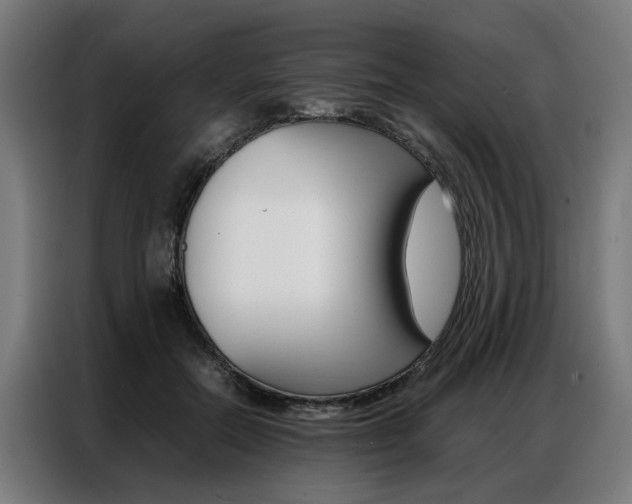X0000086970554200704161148