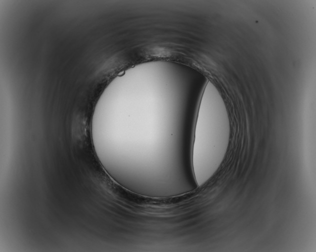 X0000086970555200704161149