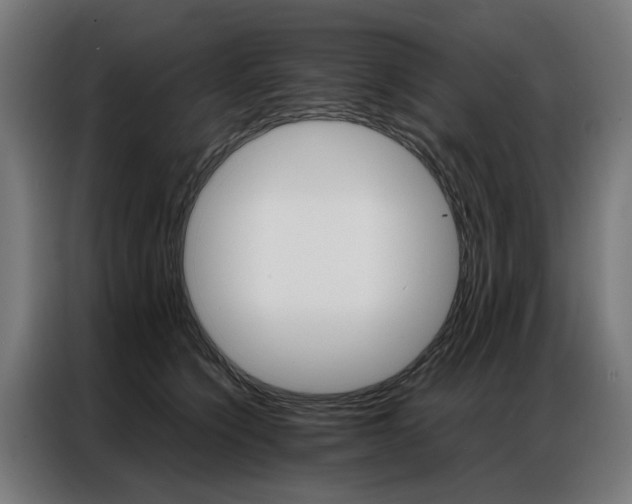 X0000086970564200704161149