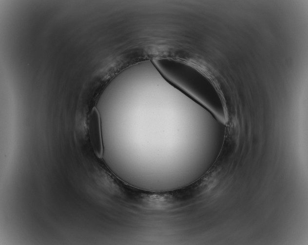 X0000086970566200704161149
