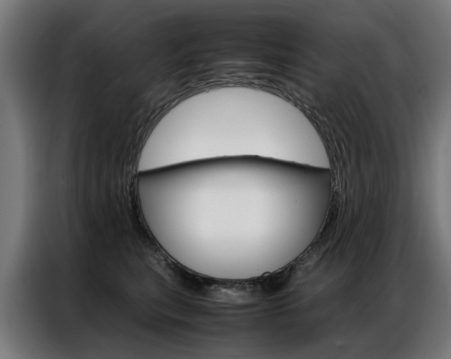 X0000086970567200704161149