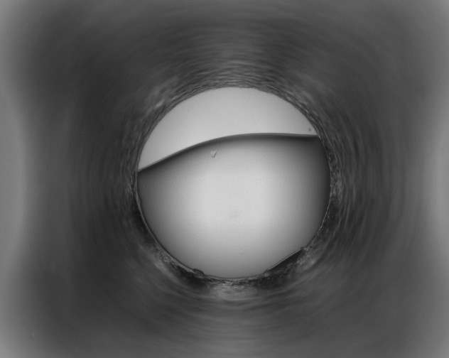 X0000086970568200704161149