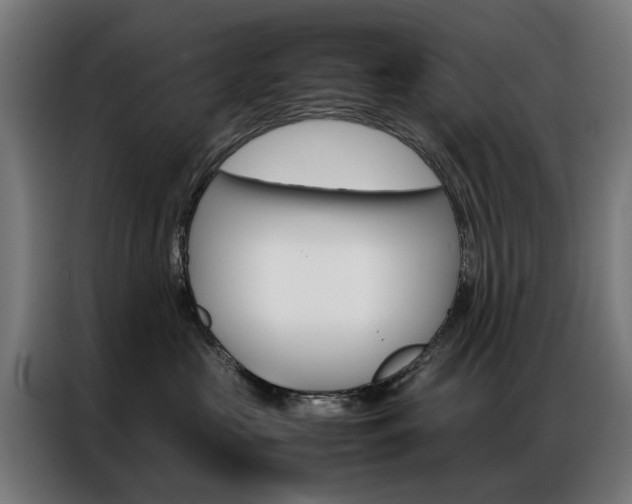 X0000086970573200704161149
