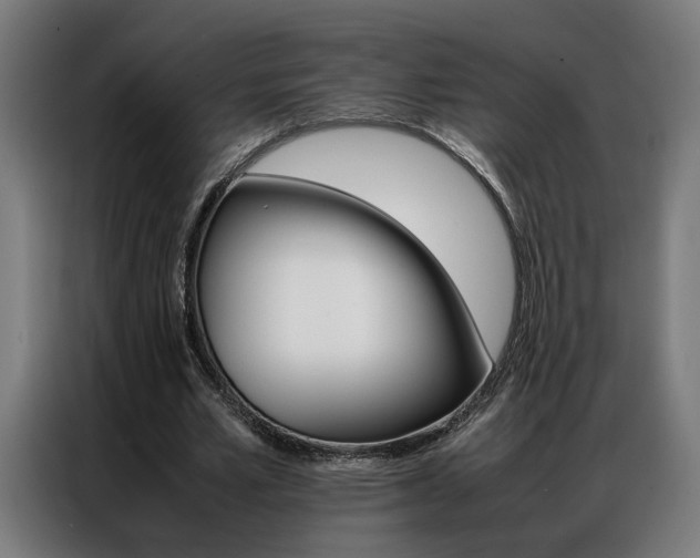X0000086970581200704161148