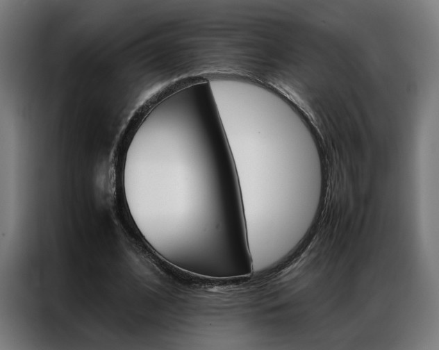 X0000086970584200704161148