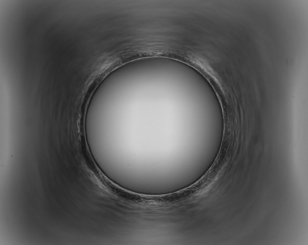 X0000086970585200704161148