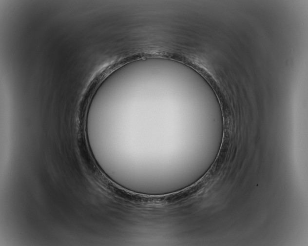 X0000086970587200704161148