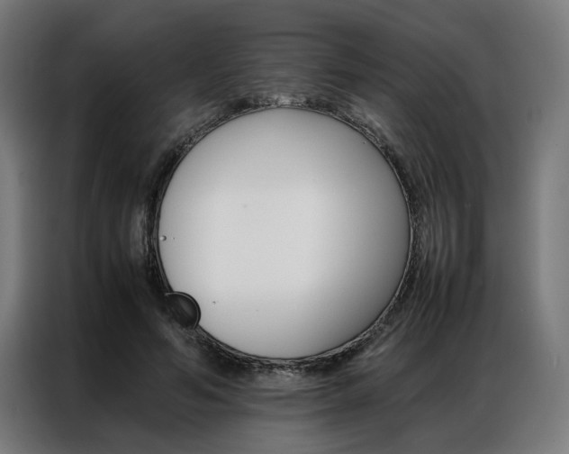 X0000086970594200704161148