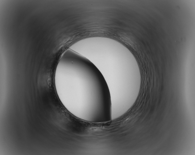 X0000086970595200704161148