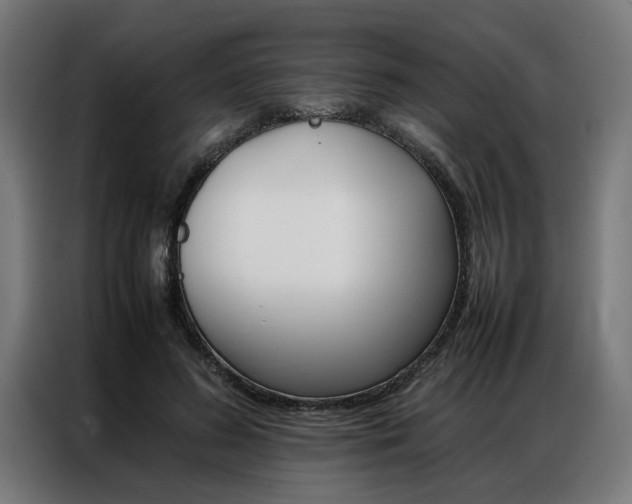 X0000086970596200704161148