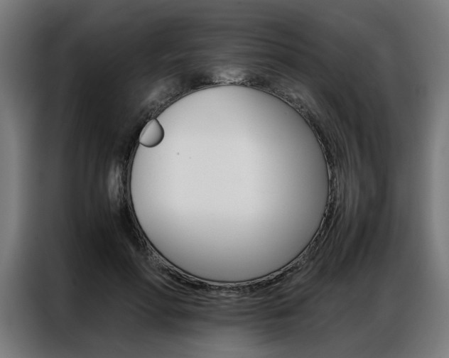 X0000086970598200704161148