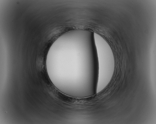 X0000086970599200704161148