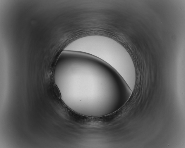 X0000086970601200704161148