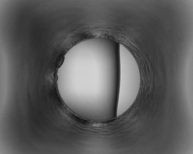 X0000086970611200704161148