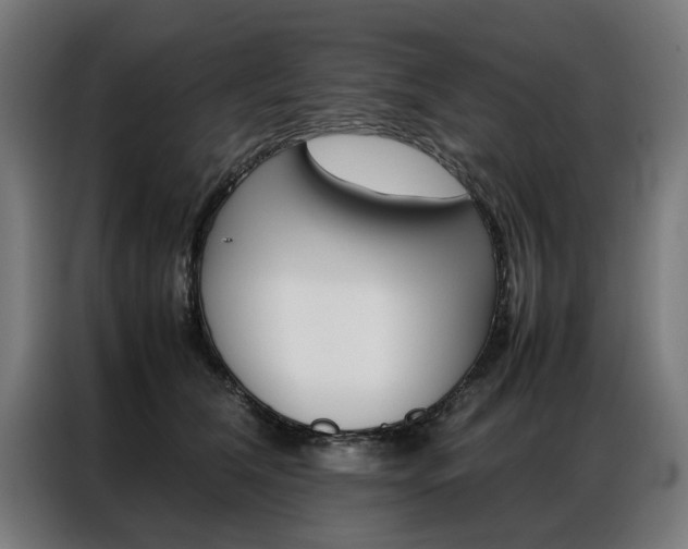 X0000086970612200704161148