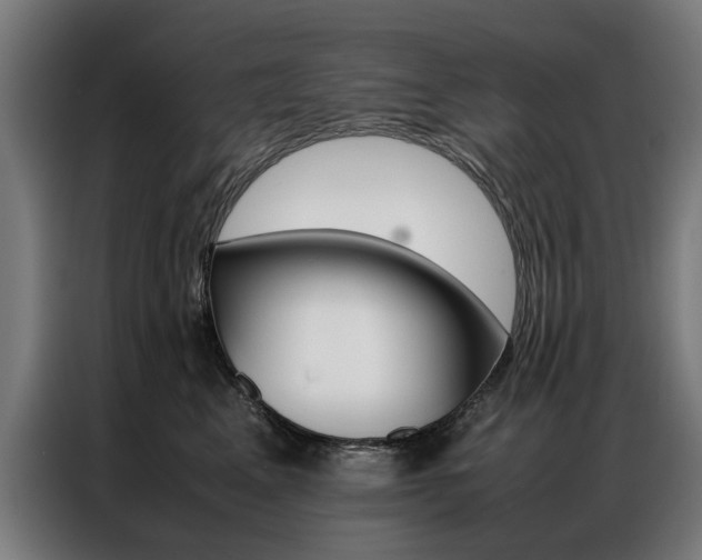 X0000086970617200704161148