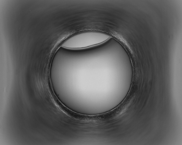X0000086970625200704161147