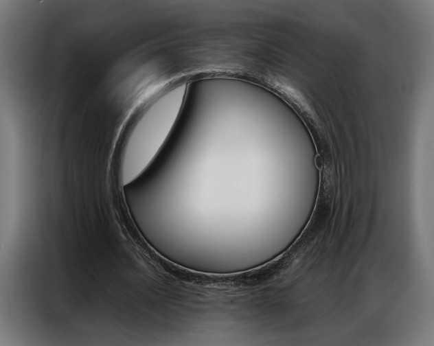 X0000086970628200704161147