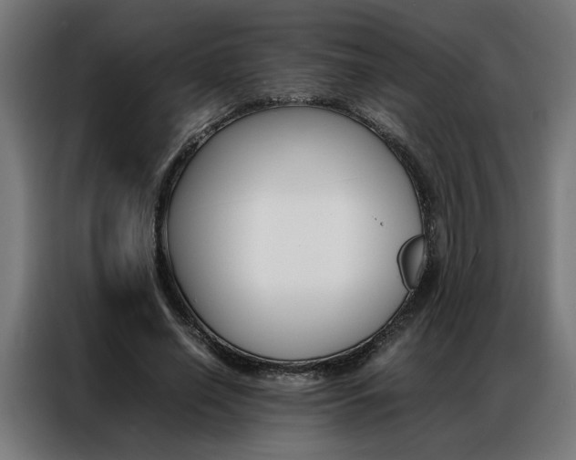 X0000086970638200704161147