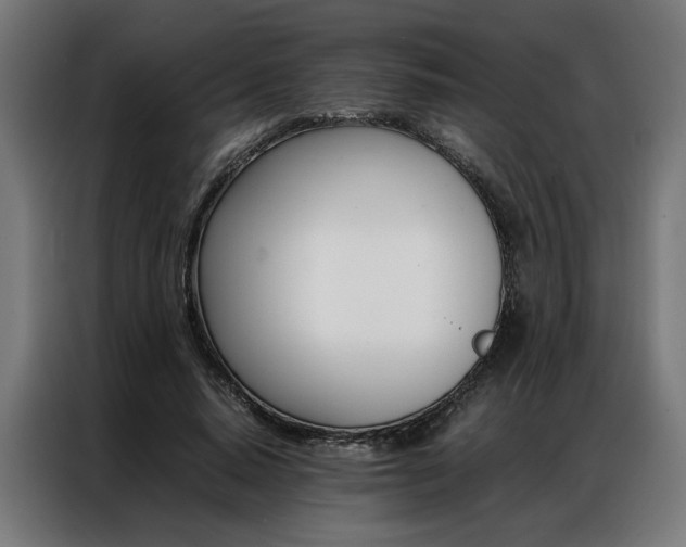 X0000086970640200704161147