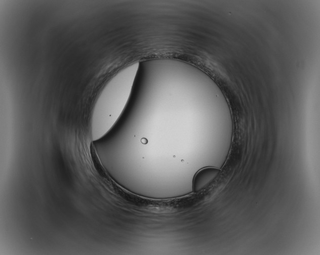 X0000086970644200704161147