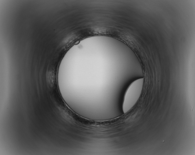 X0000086970648200704161147
