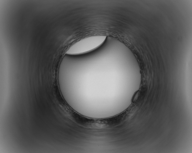 X0000086970656200704161147