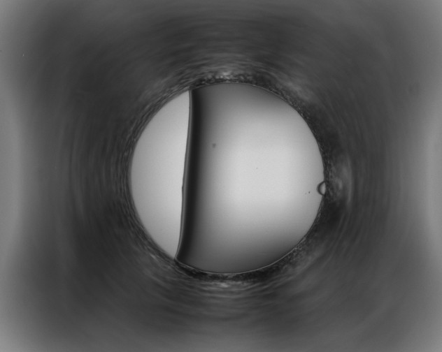 X0000086970657200704161147