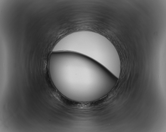 X0000086970660200704161147