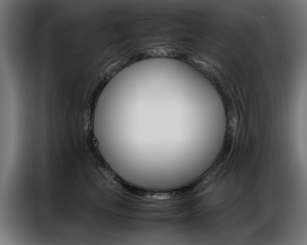 X0000086970665200704161147