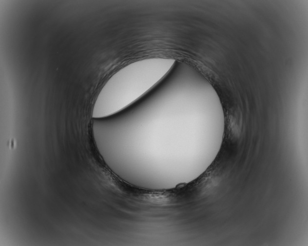 X0000086970668200704161147