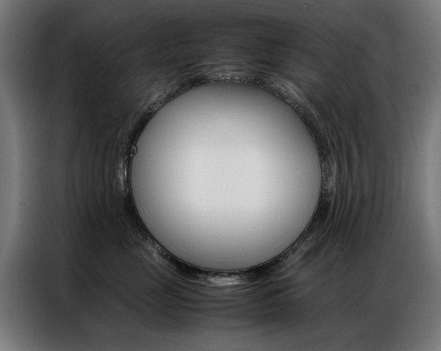 X0000086970669200704161147