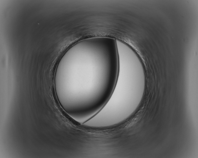 X0000086970673200704161147