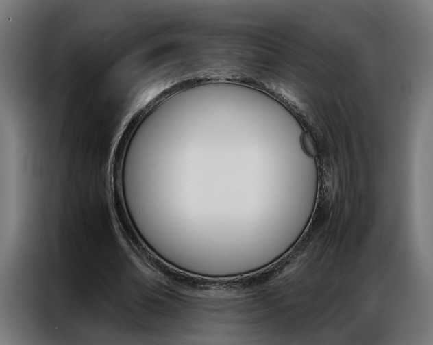 X0000086970678200704161147