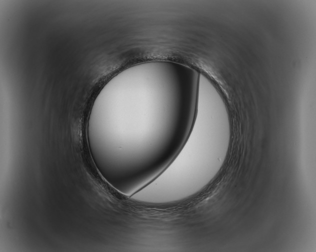 X0000086970681200704161147