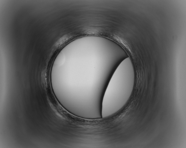X0000086970682200704161147