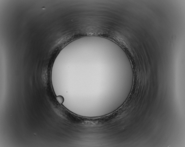 X0000086970690200704161146