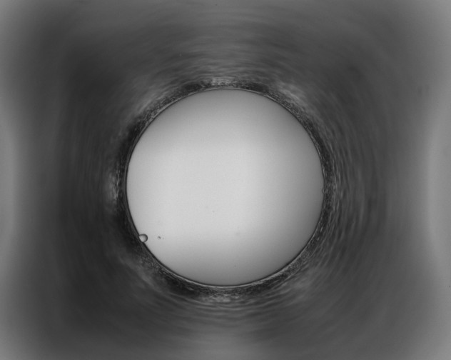 X0000086970691200704161146