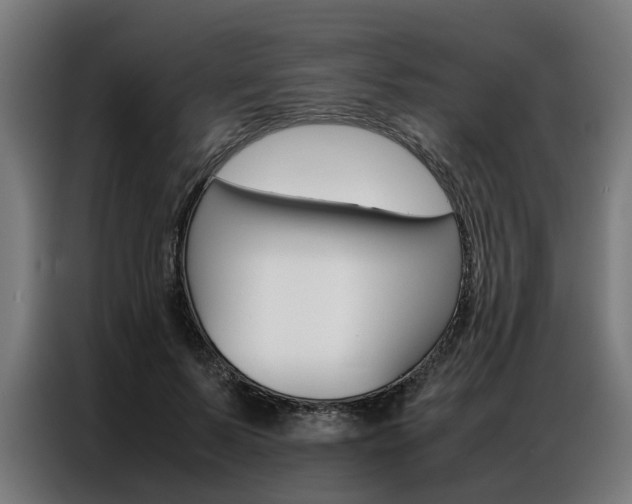 X0000086970695200704161146